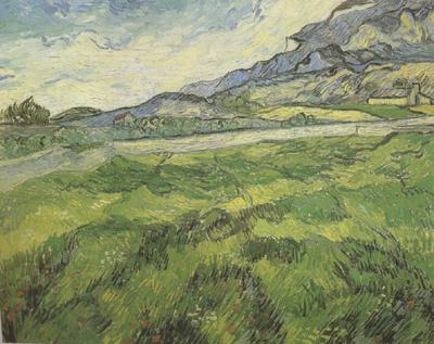 Vincent Van Gogh Green Wheat Field (nn04) oil painting picture